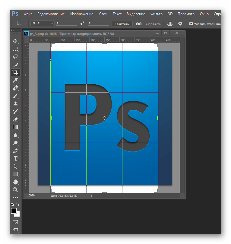 Сетка на снимке в Adobe Photoshop