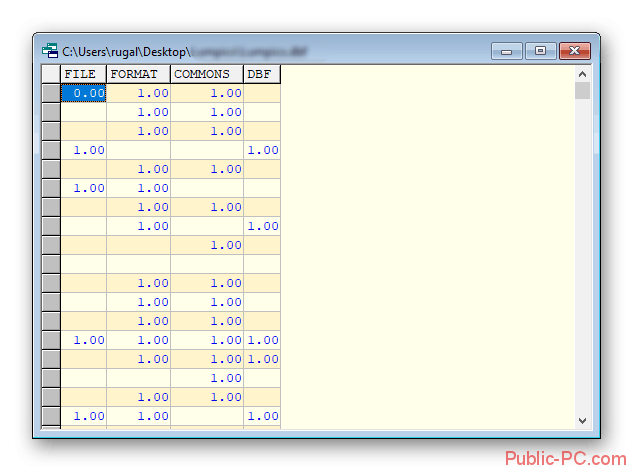 Новое окно с просмотром CDBF